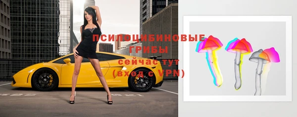 прущая мука Арсеньев