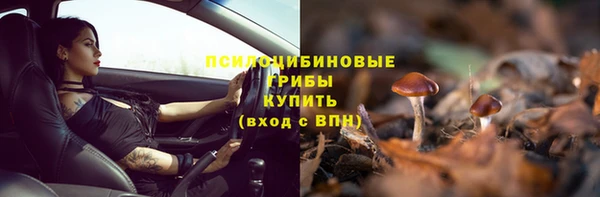 ALPHA PVP Аркадак