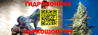 гидра Краснодар