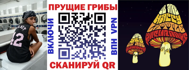 Псилоцибиновые грибы мицелий Коломна