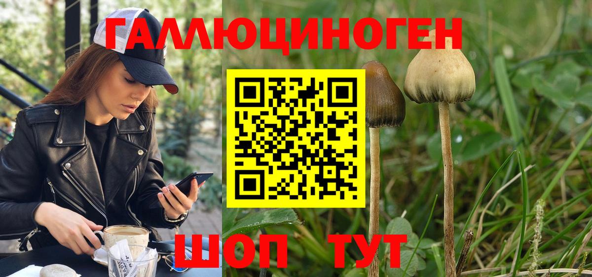 Галлюциногенные грибы Magic Shrooms  Вход с VPN  Коломна 