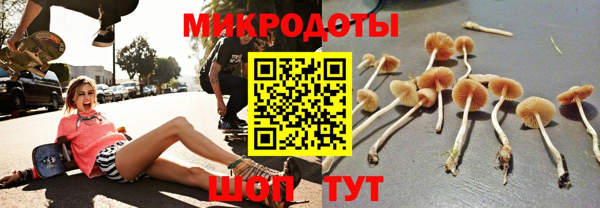 Галлюциногенные грибы мицелий Коломна