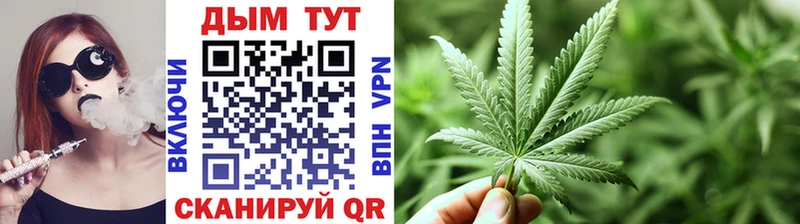 Каннабис сатива  магазин    гидра онион  Коломна 